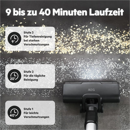 AEG Stielstaubsauger AP61CB21RS